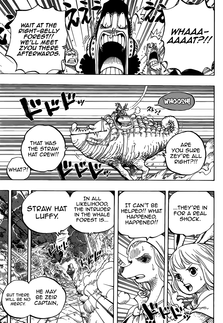 One Piece, Chapter 805 image 06